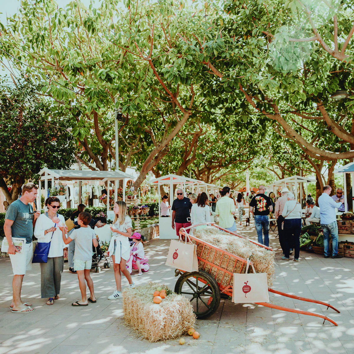 Puerto Portals Farmers’ Market